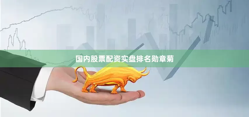 国内股票配资实盘排名勋章菊