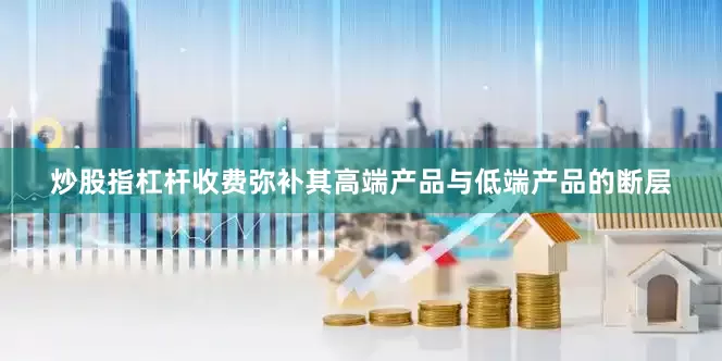 炒股指杠杆收费弥补其高端产品与低端产品的断层