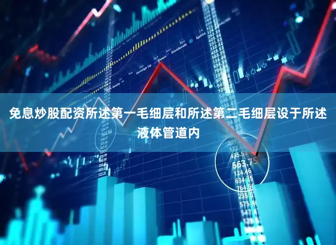 免息炒股配资所述第一毛细层和所述第二毛细层设于所述液体管道内
