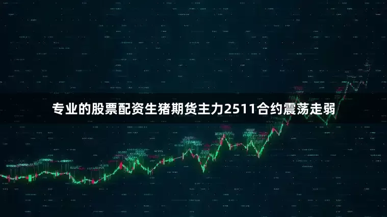 专业的股票配资生猪期货主力2511合约震荡走弱